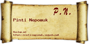 Pinti Nepomuk névjegykártya